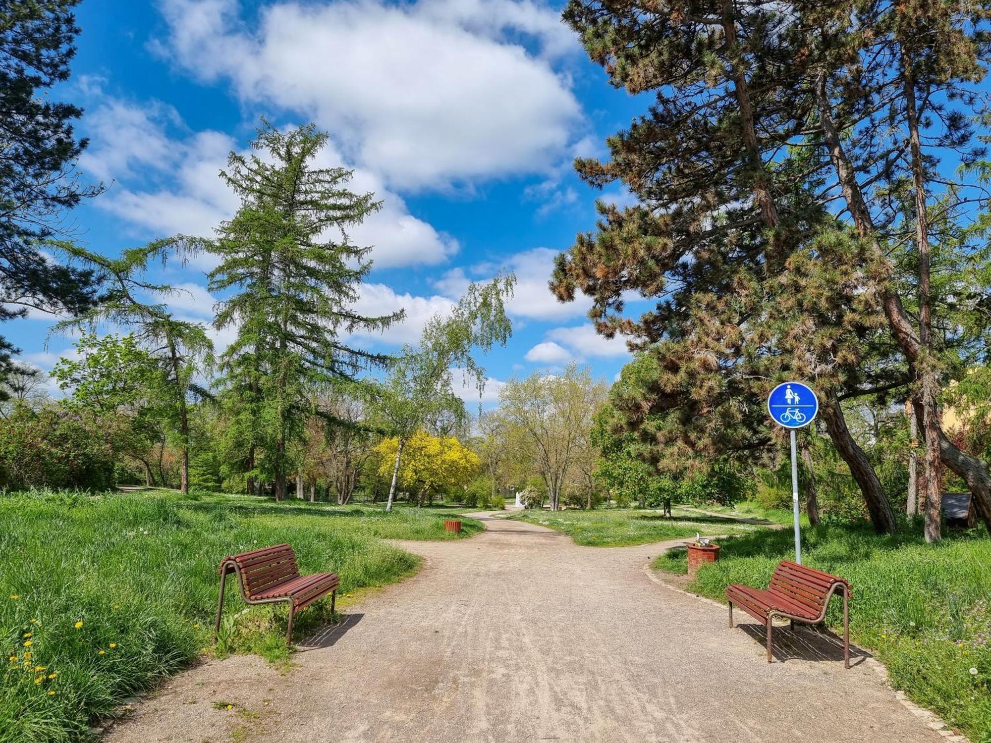 Ferienwohnung Am Stadtpark 나움부르크 외부 사진